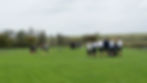 Highland_Games_Rotterdam