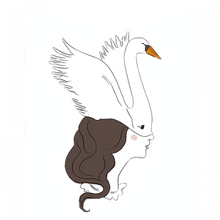CISNE TRANS.png