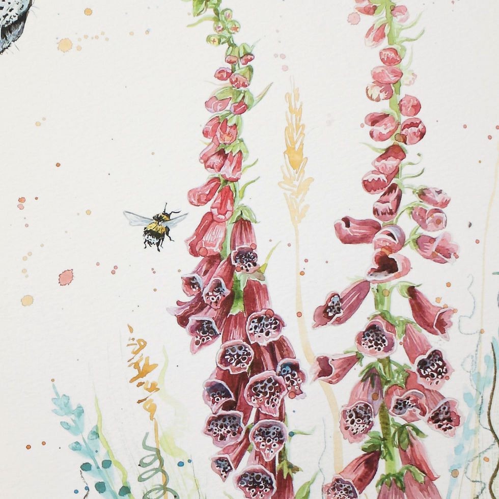 Thumbnail: 'Foxgloves & Fox Tales' Limited Edition Art Print