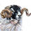 Thumbnail: swaledale ram original painting