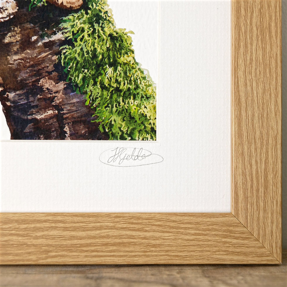 Thumbnail: 'King of the Castle' Robin Limited Edition Giclée Print