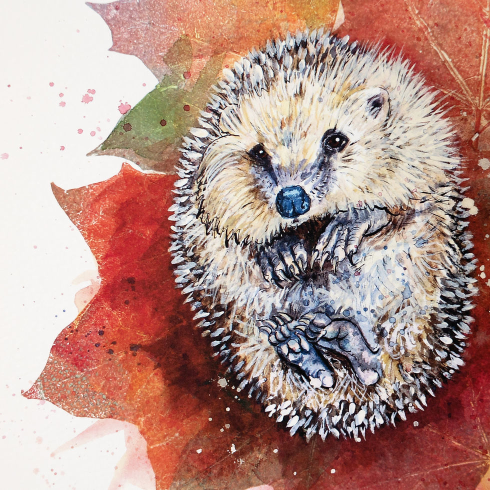 Thumbnail: 'Autumnal Snuggles' Limited Edition Hedgehog Print
