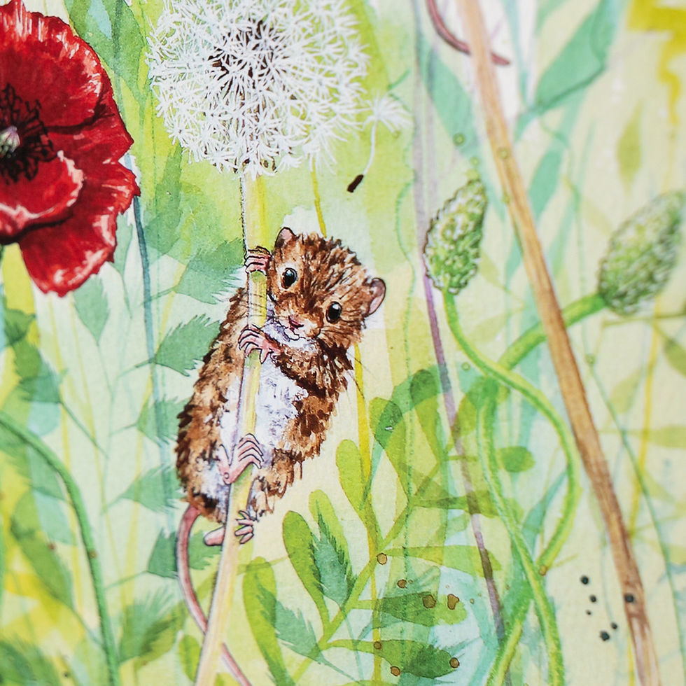 Thumbnail: 'Hide and Squeak' Limited Edition Field Mice Print