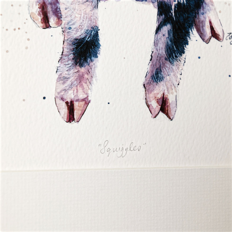 Thumbnail: Squiggles Limited Edition Piglet Print