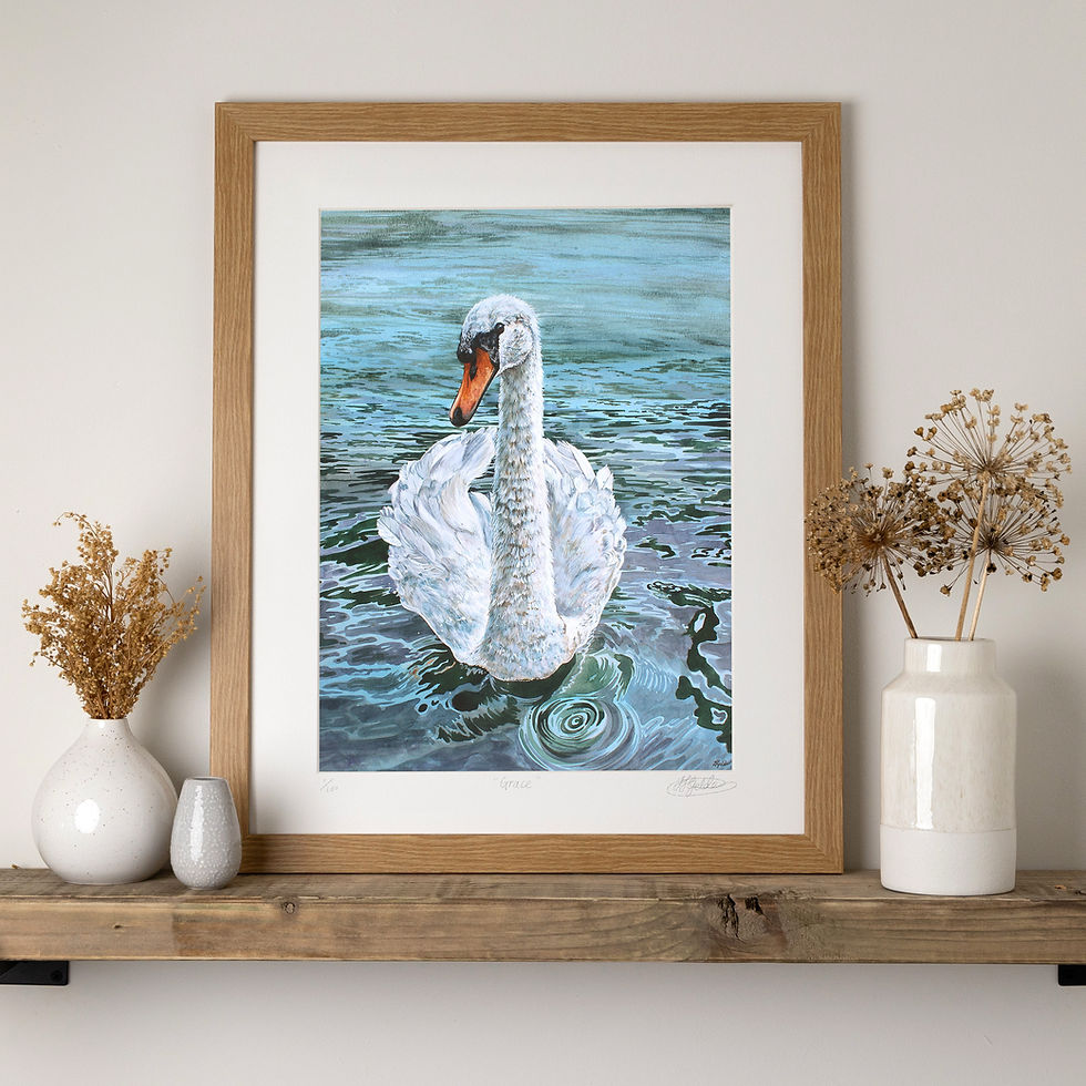 Framed swan print in oak