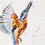 Thumbnail: 'Gotcha' Kingfisher Limited Edition Giclée Print