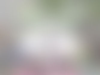 <位置釋出> 台北捷運 x 愛手創 2025 心中山 夏日亮點 花樂Me! // 線形公園北南段 7/25-8/17 開始招募.ᐟ.ᐟ