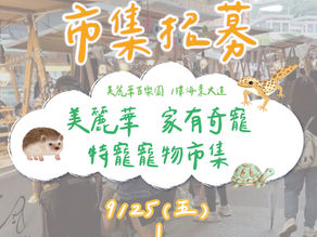 美麗華 家有奇寵 特寵寵物市集 // 美麗華百樂園 1樓海景大道 9/25-28 開始招募.ᐟ.ᐟ