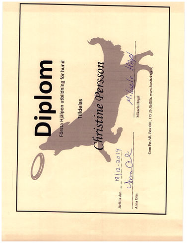 Scanned-image-3.jpg