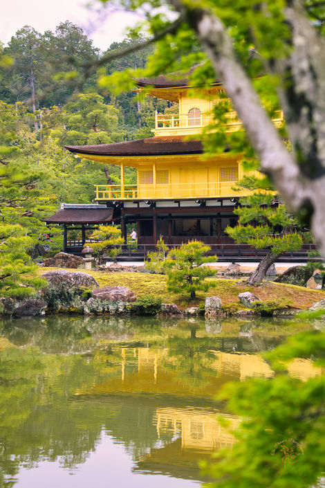 Golden Pagoda Japan 2023