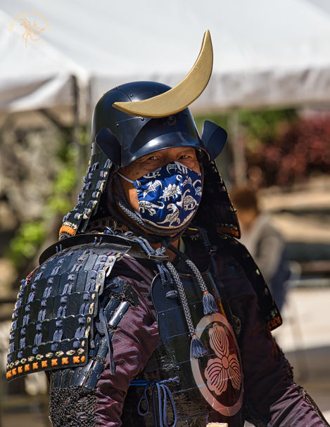 Samurai Warrior Hemiji Castle