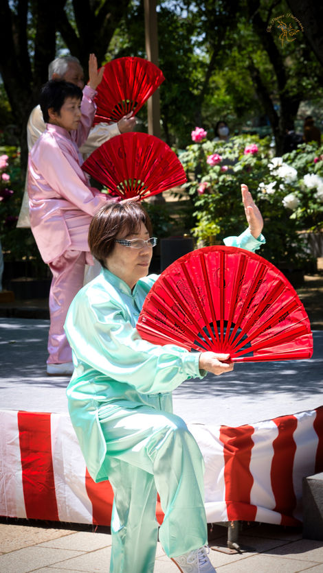 Fan Dance Hemiji Castle
