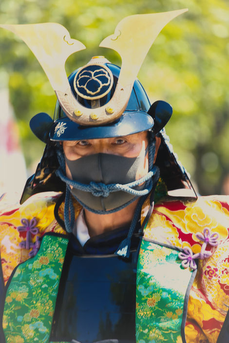 Coloured Samurai Himeji Castle