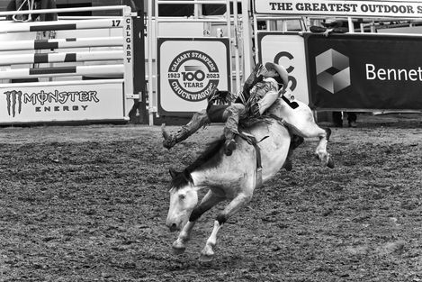 Rodeo Bonco BW