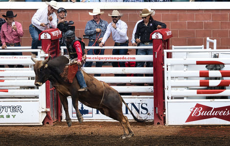 Rodeo Buck 10 July 2023