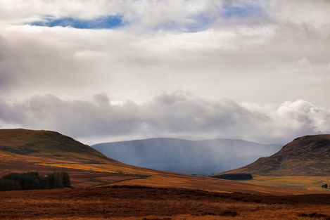 The Hill Landscape