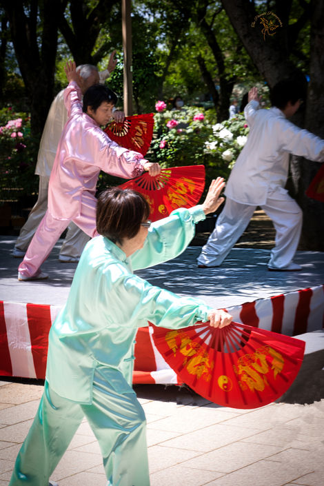 Fan Dance Hemiji Castle Japan 2023
