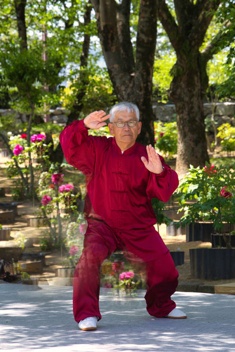 Tai Chi Hemiji Castle Japan 2023