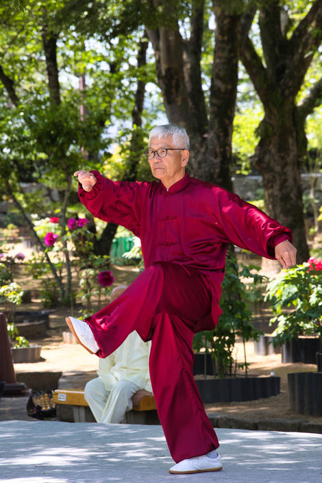 Tai Chi 1 Hemiji Castle