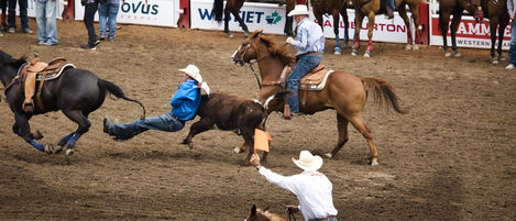 Rodeo Steer Wrestling 10 July 2023
