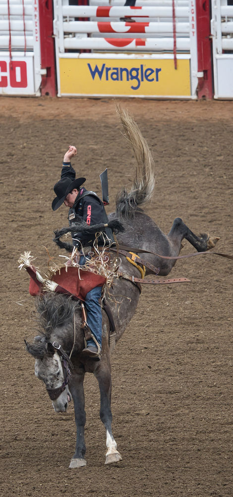 Buckeroo 10 July 2023