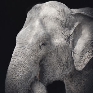 Vietnam and Cambodia 2023