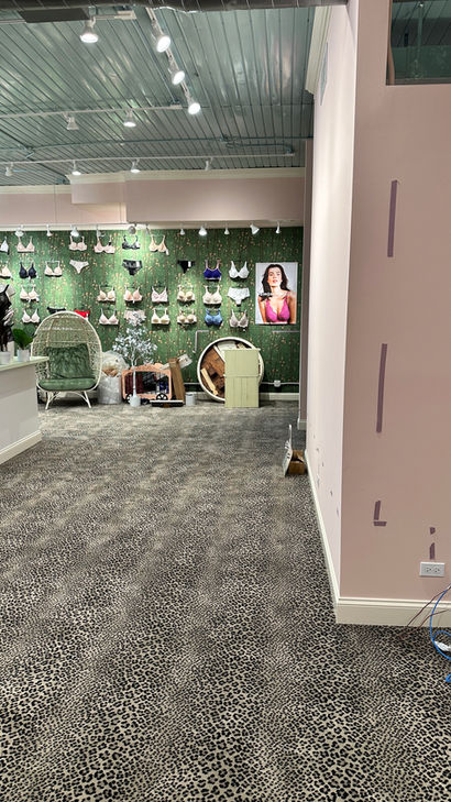 Elevated Retail Space Werner General Contracting Wilmette IL