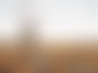 Safari Honeymoon in Hoedspruit: Adventure, Romance and Rewearing Your Wedding Day Look.