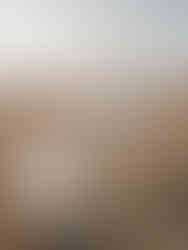 Bride and groom embracing in the golden light during a South African elopement.