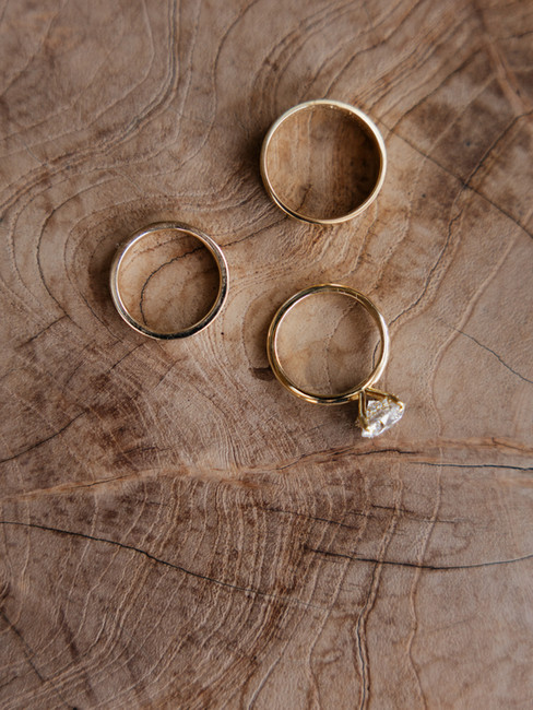 Close up of wedding rings on wood surface showing trees growth rings