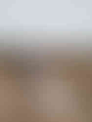 Couple dance in front of Game Viewer while lights shine on them from behind during their safari elopement photos in South Africa