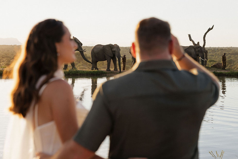 Couple watching elephants by a waterhole at sunset, reflecting in the water. Warm tones, peaceful safari landscape in the background.