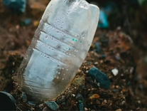 bouteille en plastique plantée dans un sol plein de déchets