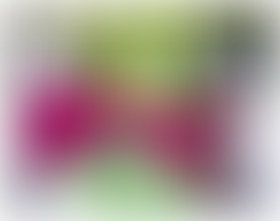 Quels Sac utiliser pour transporter les Friandises de Chien ?