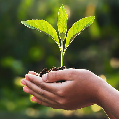 Earth-Day-2024-Blog-1440x960.jpg