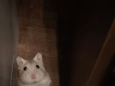 薄着になる前に