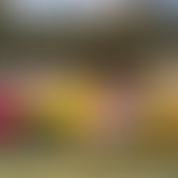 Reduce 96 % la superficie afectada por incendios forestales