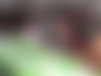 Con gratificaciones, maestros del SMSEM recibirán un reconocimiento a su labor