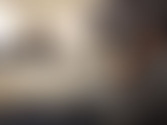 Promete Partido Verde a empresarios blindar a los ayuntamientos frente deudas