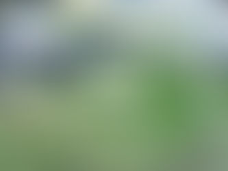 Localizan cadáver en Santa Catarina municipio de Lerma