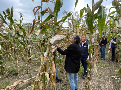 Incentiva EdoMéx la investigación y ecotecnias en alimentos