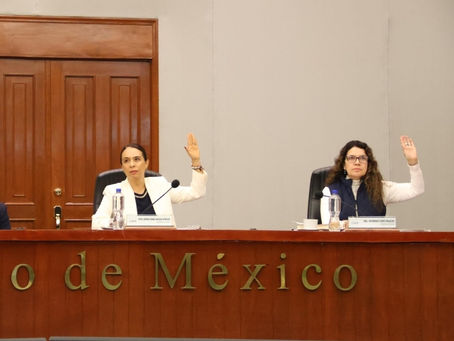 Prioritario la apertura ciudadana en designación de vocalías