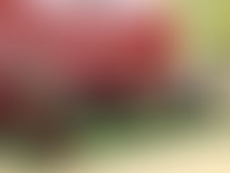 Despliegan jornada de vacunación contra sarampión en sedes del SMSEM