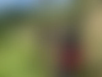 Realiza protección civil de Tlalnepantla recorridos permanentes para prevenir deslaves