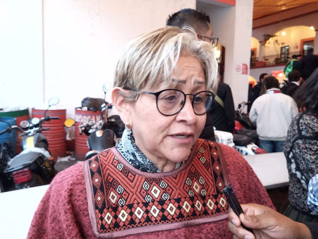 Senadora Martha Guerrero achaca a clima de inseguridad la agresión a balazos sobre su vehículo