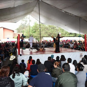 GEM acerca espectáculos circenses a Toluca a través de TransformARTE