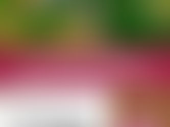 ¡Postúlate ya! Beca 100% del GEM para ingeniería agrícola en Honduras