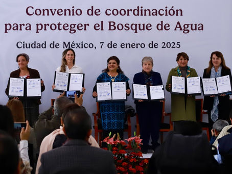 Gobierno de México coordina esfuerzos para combatir la tala ilegal y proteger el Bosque de Agua