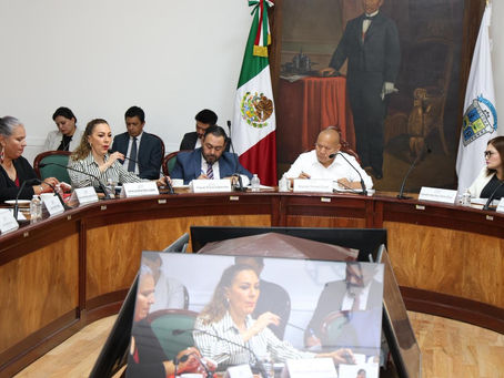 Establece tlalnepantla reglamento para consejo municipal y aprueba premio huella verde 2026