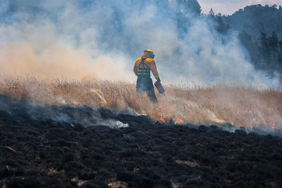 Previene incendios Gobierno del EdoMéx con quema controlada